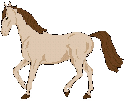 CA Horse Catalog